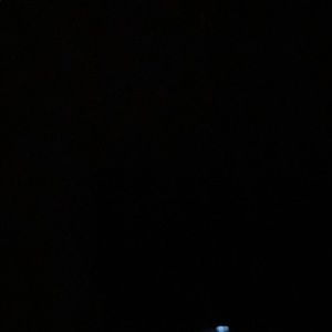 Meet your Posher, Roscoe